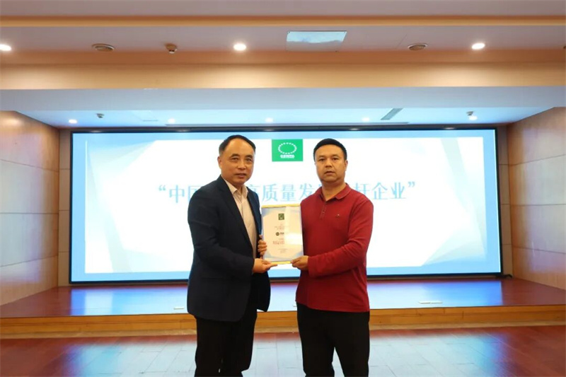 品质铸就标杆，创新引领未来 | 辣椒视频地板荣膺“中国地板行业高质量发展标杆企业”称号！